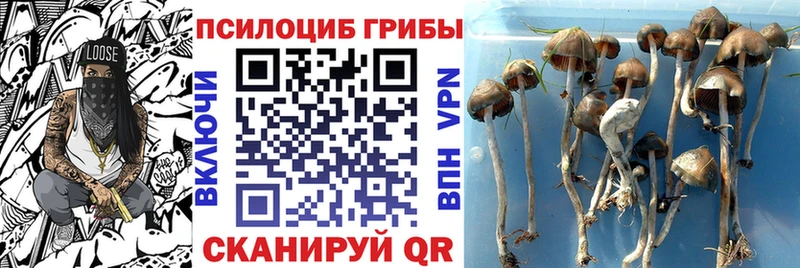 Купить где  Казань  Псилоцибиновые грибы ЛСД 